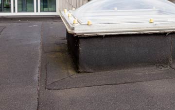 disadvantages of Catisfield flat roofs